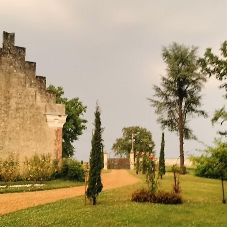 Chateau Le Haut Villaumay Auzouer-en-Touraine 外观 照片