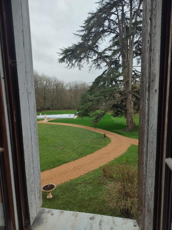 Chateau Le Haut Villaumay Auzouer-en-Touraine 外观 照片